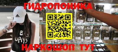 гашиш Новодвинск