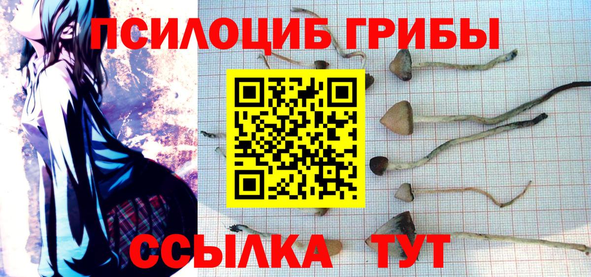 Фролово  Галлюциногенные грибы GOLDEN TEACHER  Вход с VPN 